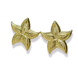 Starfish Earrings