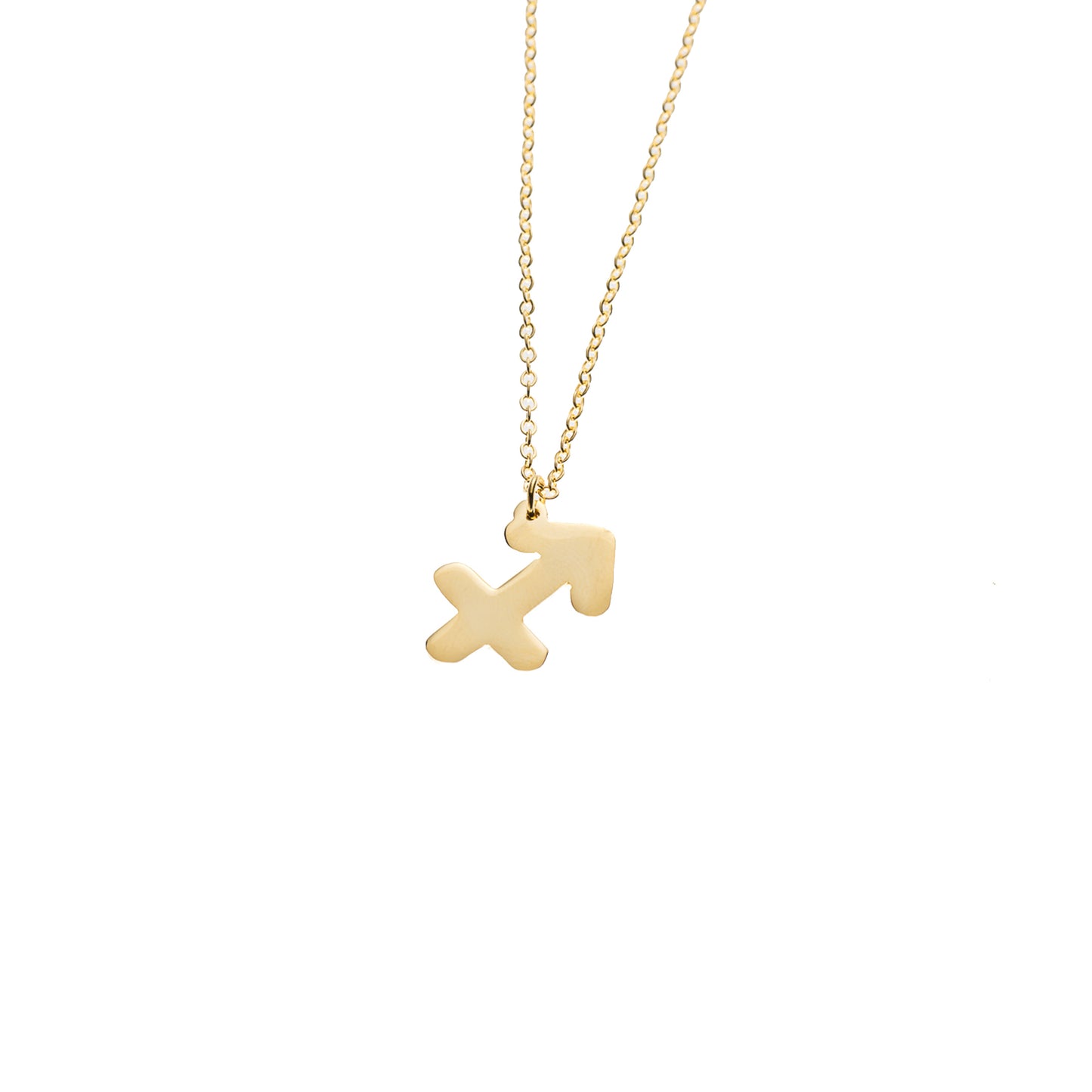 Customized Horoscope Necklace